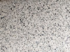 萊州白麻 萊州白麻