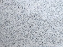 牟平白麻 牟平白麻