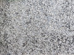 章丘黑 章丘黑